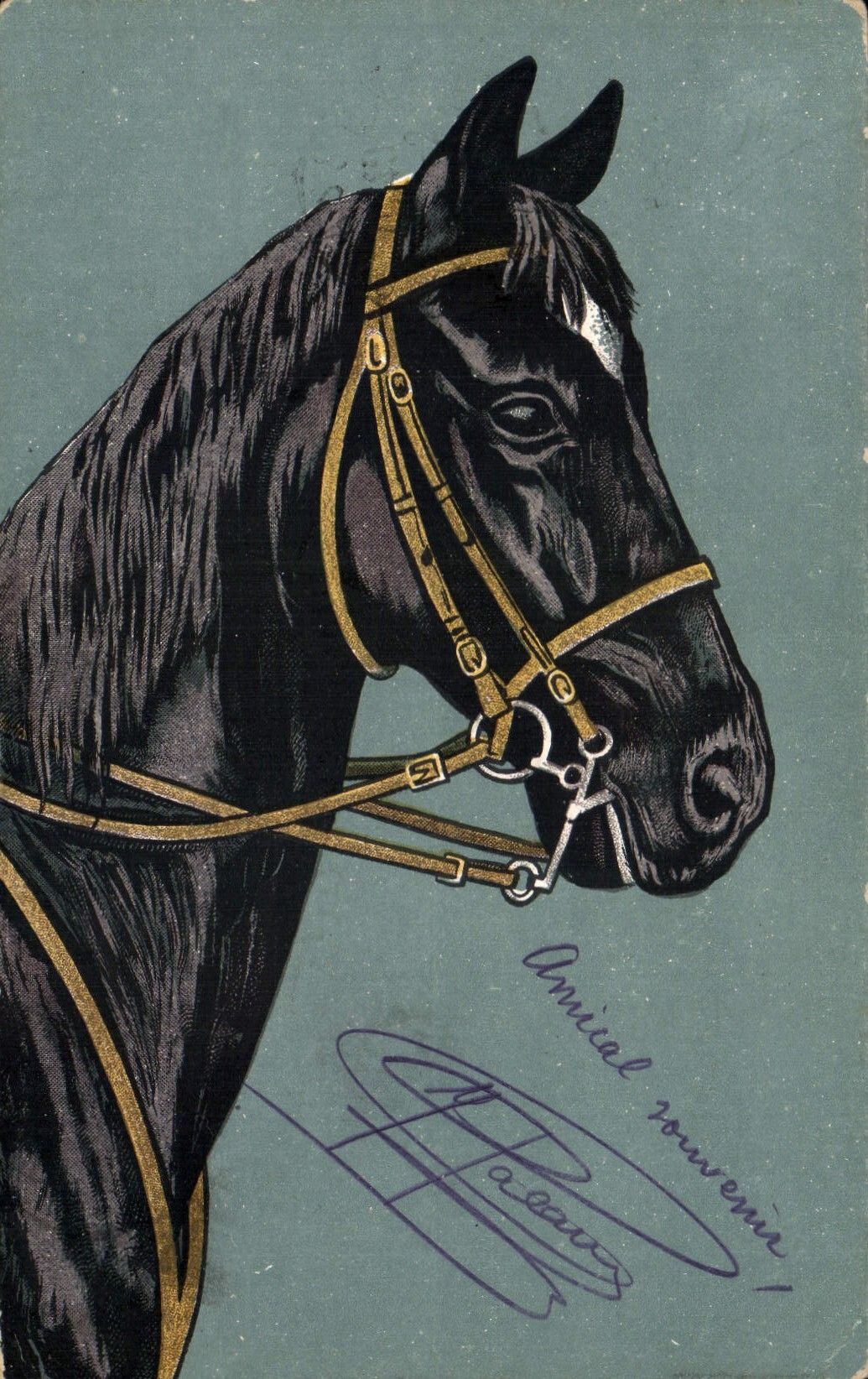 Cheval noir — portrait — éditeur C.T. & Cie, série 104