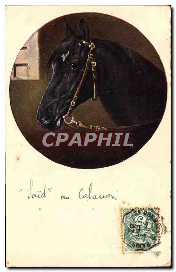 CPA Hippisme Equitation 