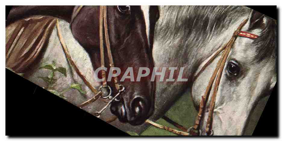 CPA Hippisme Equitation 