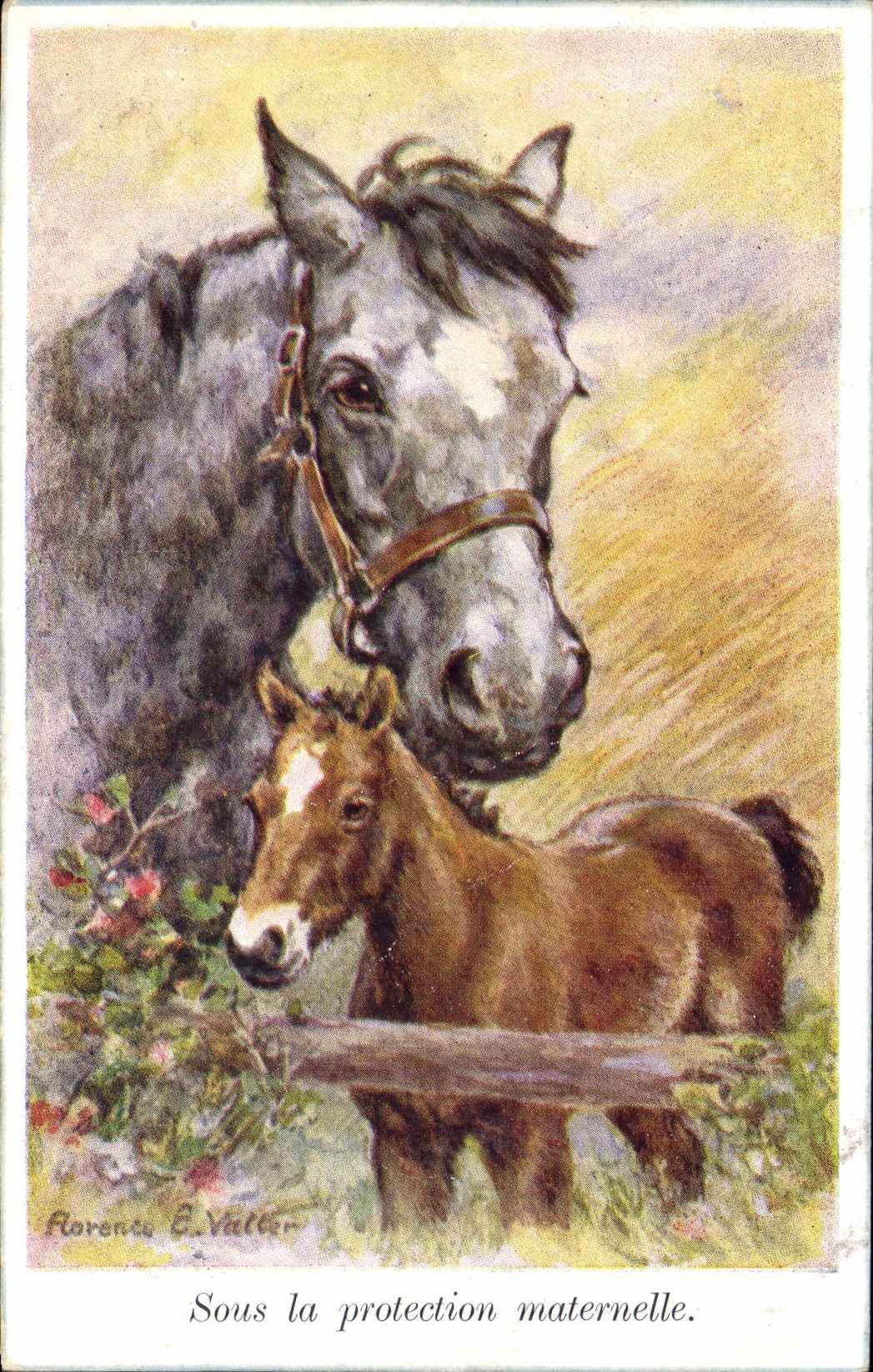 Cheval et poulain — Sous la protection maternelle — Florence E. Valter, n° 2862