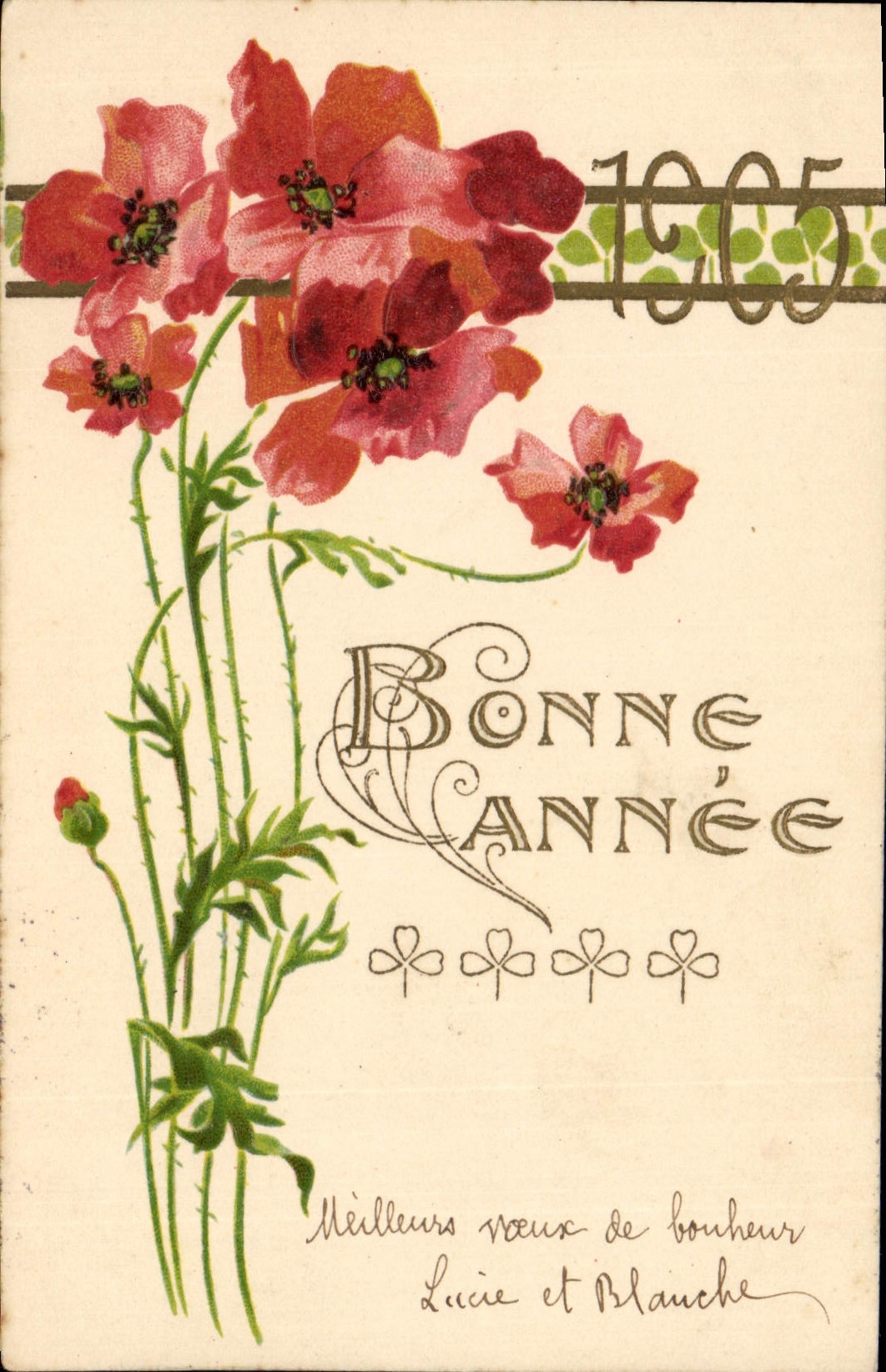 Fleurs de pavot — Bonne Année 1905 — éditeur non visible