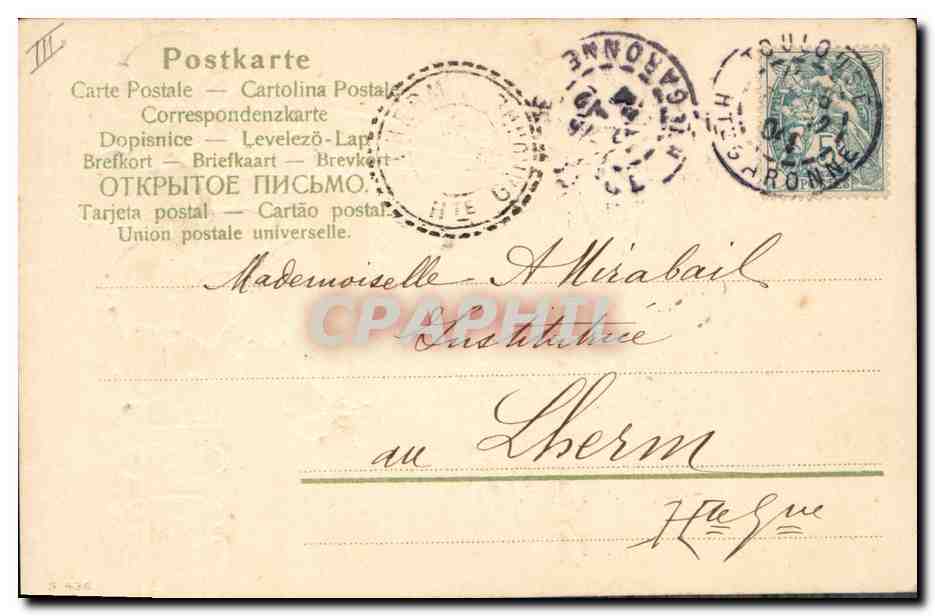 Fleurs de pavot — Bonne Année 1905 — éditeur non visible — Verso