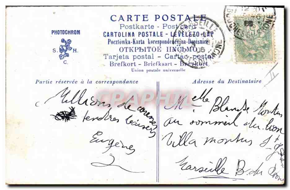 Femme en photo — décor de chats et fleurs — Photochrom S.H. C. — Reverso