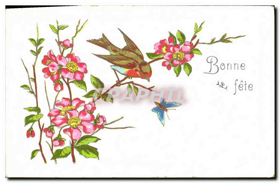 CPA Fantaisie Fleurs Oiseaux 
