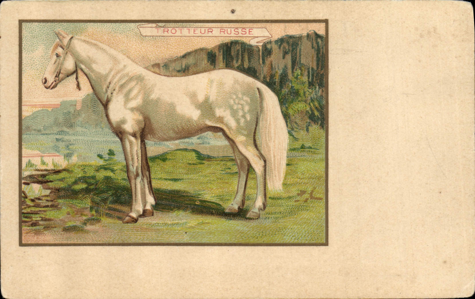 CPA Equitation Hippisme Cheval Trotteur russe Russie Russia