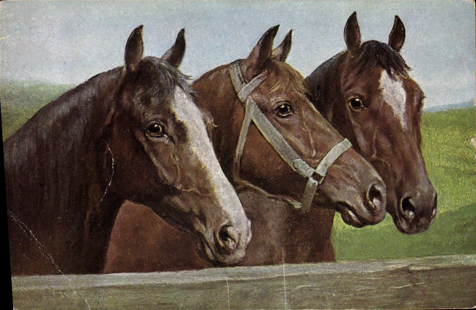 Trois chevaux — peinture — Tuck's Post Card, n° 3471