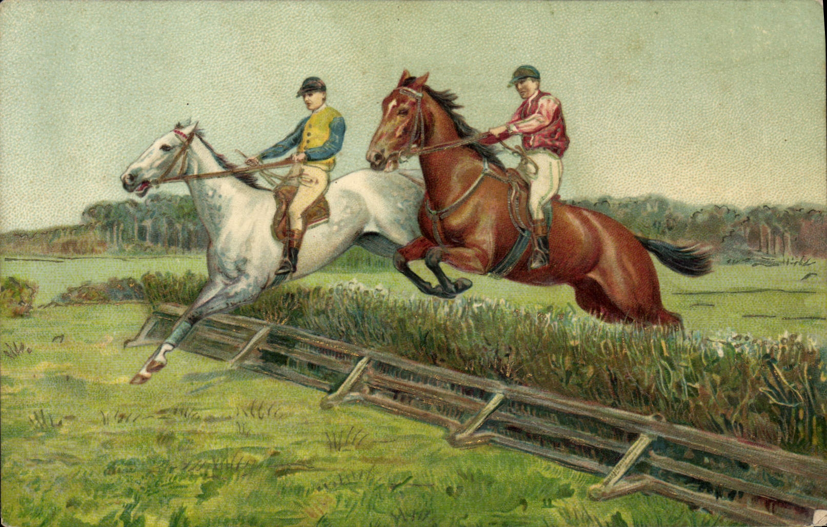 CPA Equitation Hippisme Cheval 