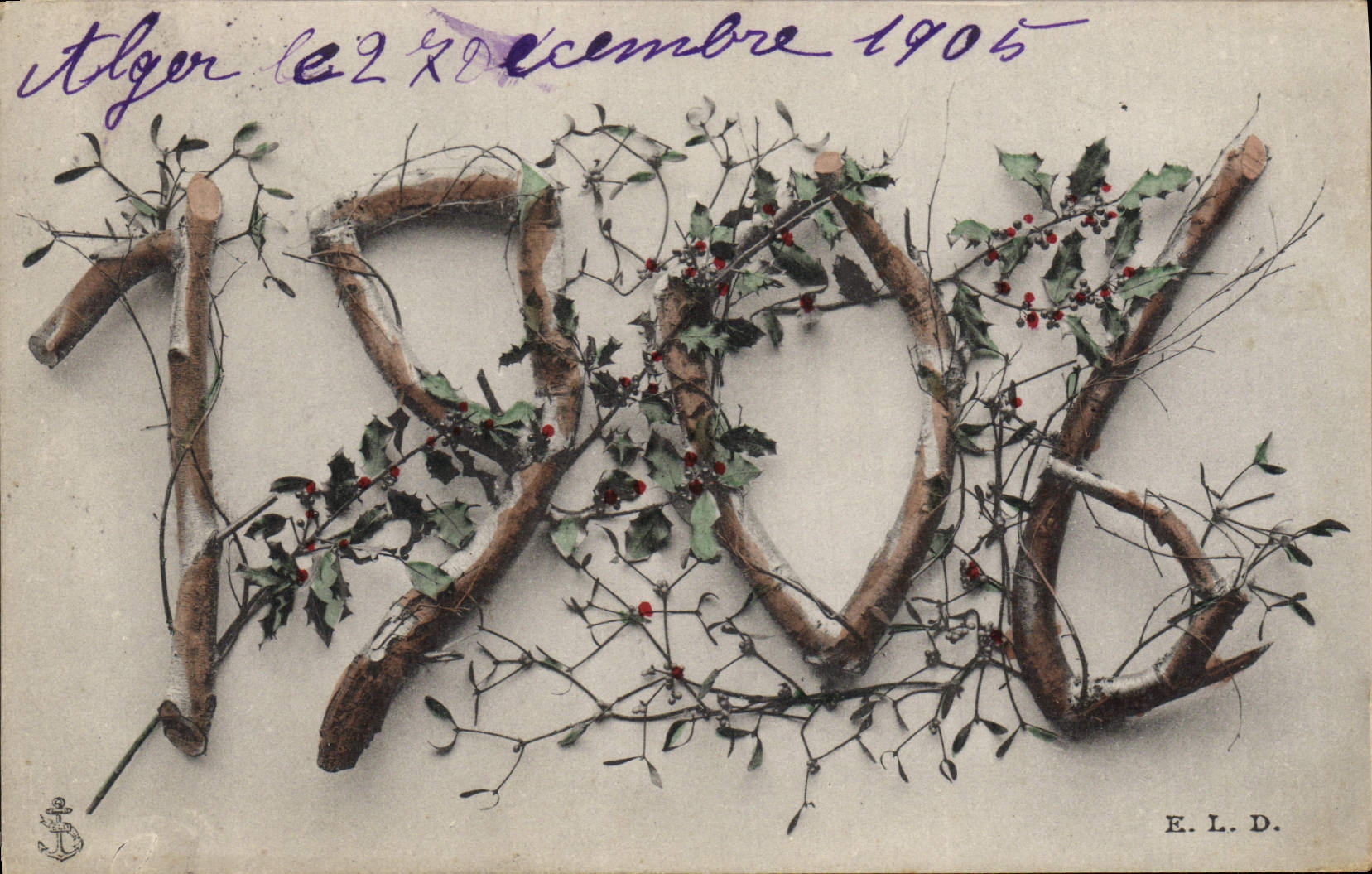 Foglie di edera e vischio — decorazioni di Natale — E.L.D.