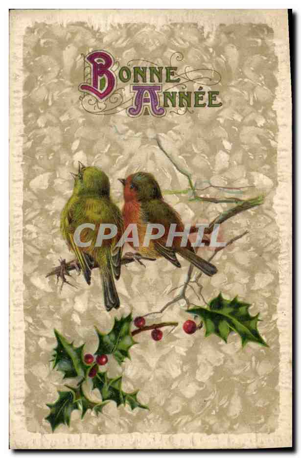 Deux oiseaux sur branche de houx — Bonne Année — éditeur non visible