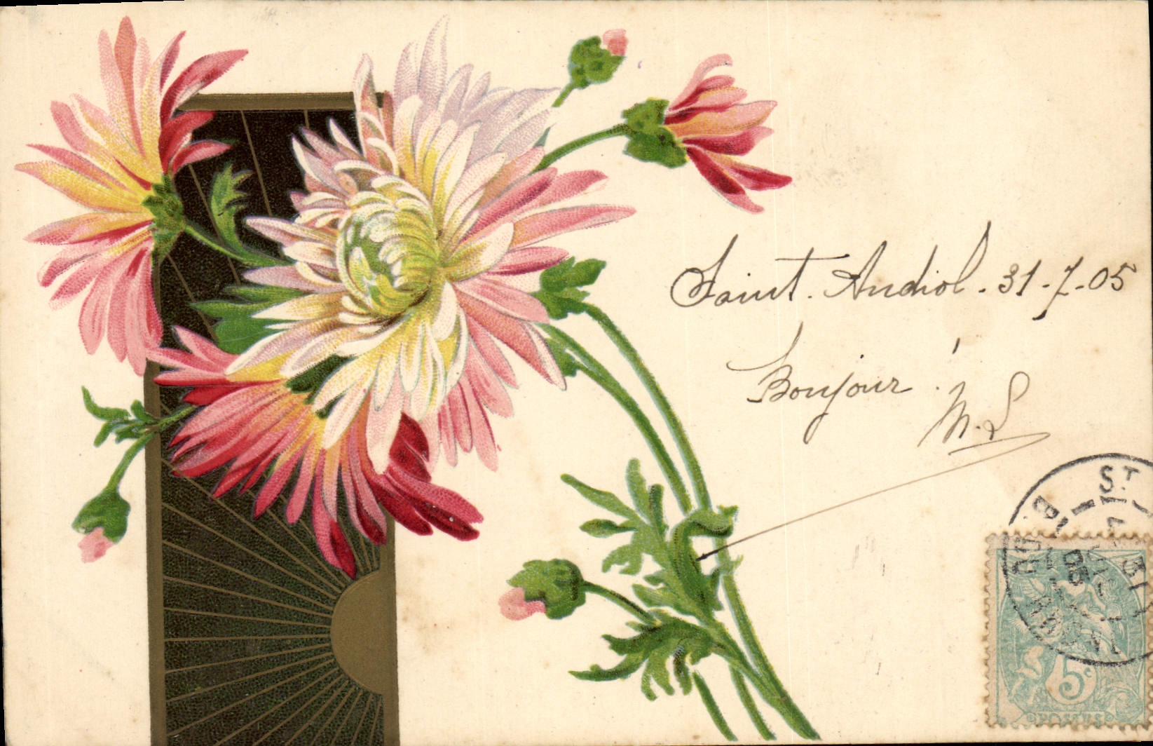 Fleurs de chrysanthèmes — Saint-Andiol — Carte postale multilingue