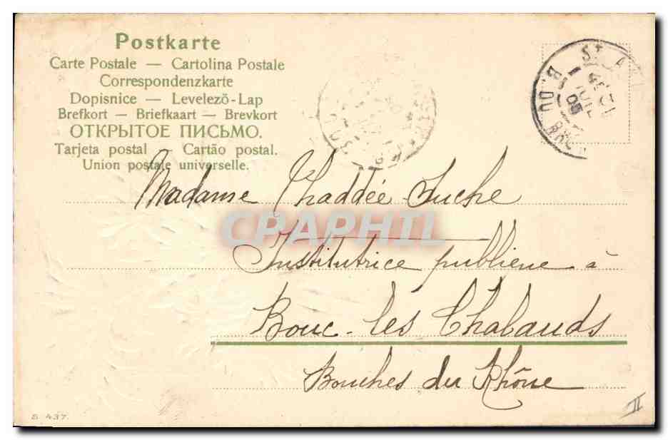 Fleurs de chrysanthèmes — Saint-Andiol — Carte postale multilingue — Rückseite