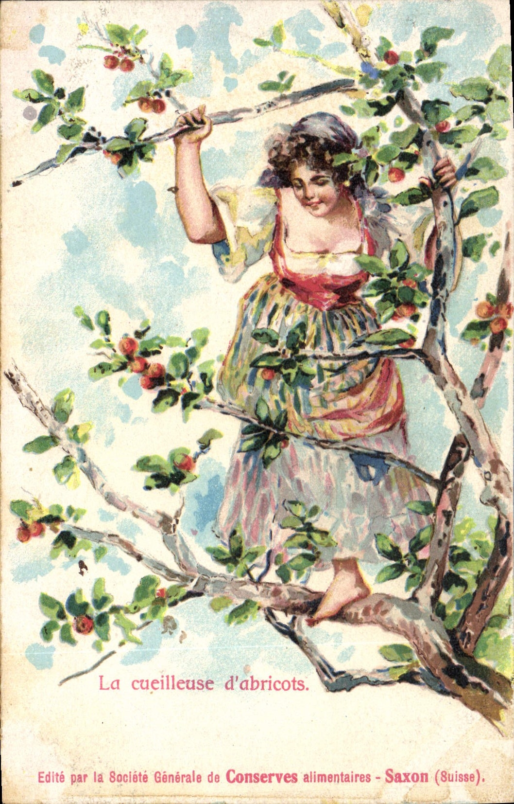 CPA Fantaisie Illustrateur Femme La cueilleuse d'abricots 