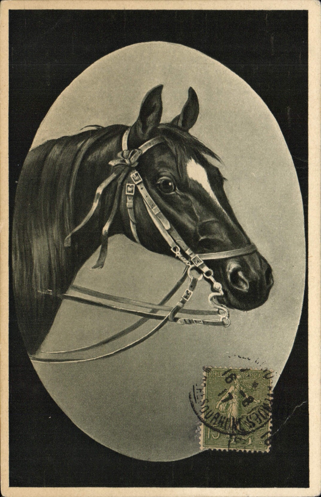 CPA Equitation Hippisme Cheval 
