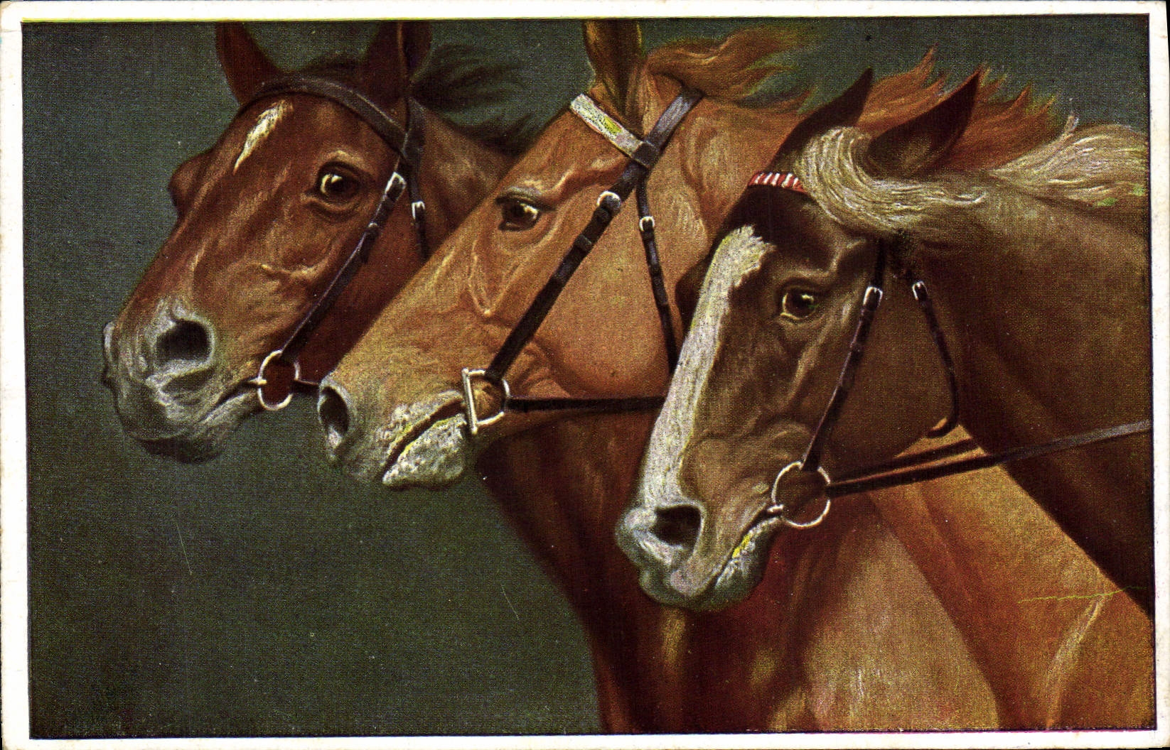 Trois chevaux — peinture — O.G.Z. n° 282