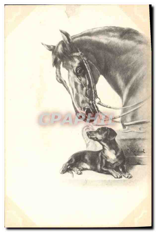 Cheval et chien — dessin au crayon — C. Reichardt