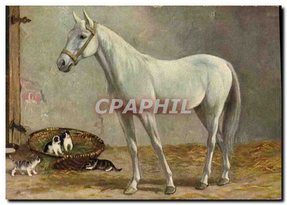 Cheval blanc et chatons — scène de ferme — éditeur non identifié