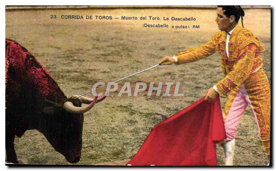 CPA Corrida Course de Taureaux Corrida de Toros Muerto del Toro Le descabello 