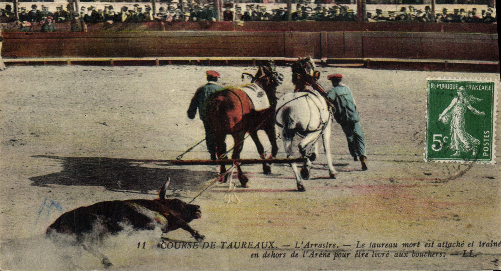 COURSE DE TAUREAUX — L'Arrasire — Le taureau mort est attaché et traîné en dehors de l'Arène pour être livré aux bouchers — LL