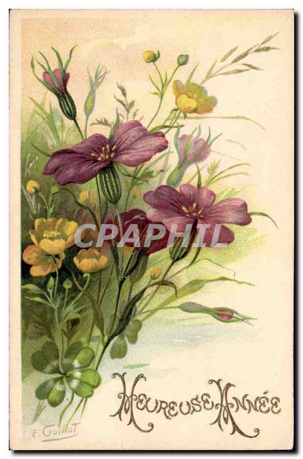 Fleurs — violettes et marguerites — E. Guillot