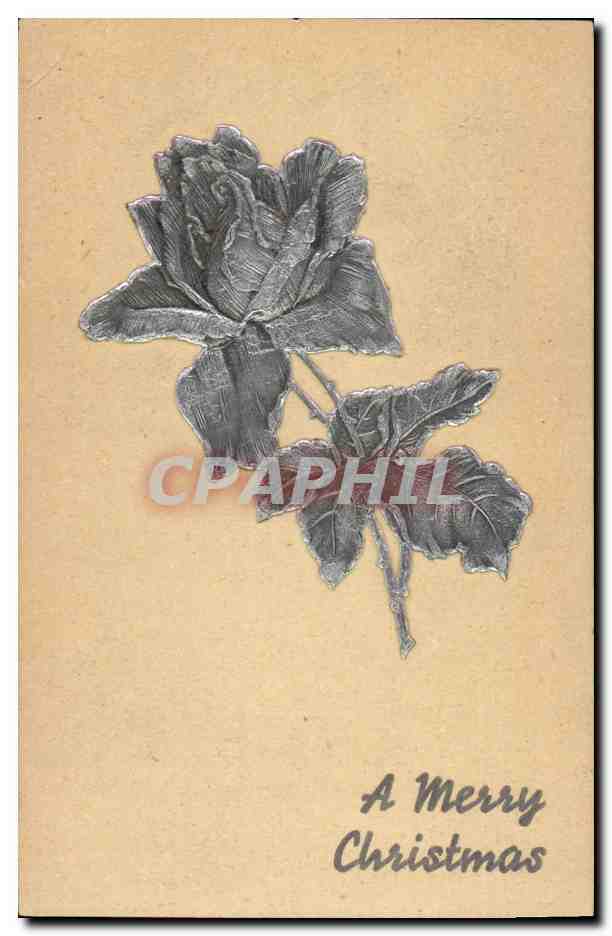 Rose — Weihnachtskarte — Frohe Weihnachten