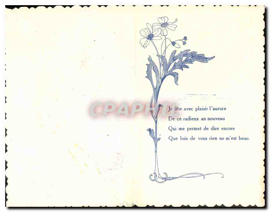 CPA Fantaisie Fleurs  — Verso