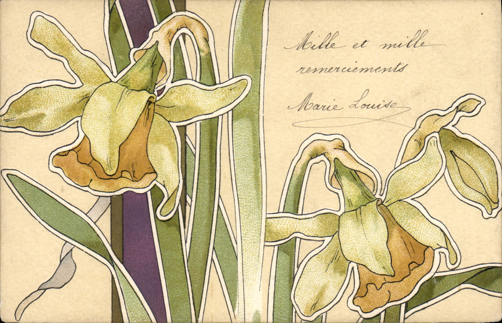 Narcisos — ilustración Art Nouveau — editor no identificado - Anverso