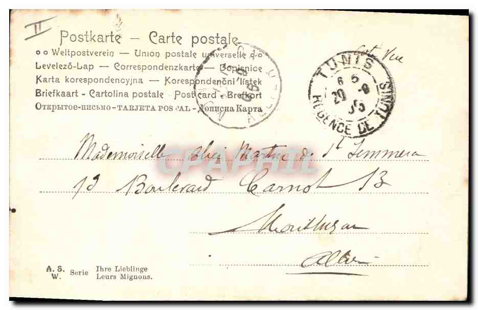Femme en robe rose tenant un chat — Union postale universelle — série A.S. W. — Verso