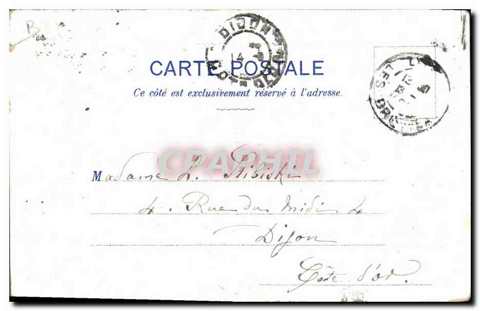 CPA Courteline Chien Chiens  — Verso