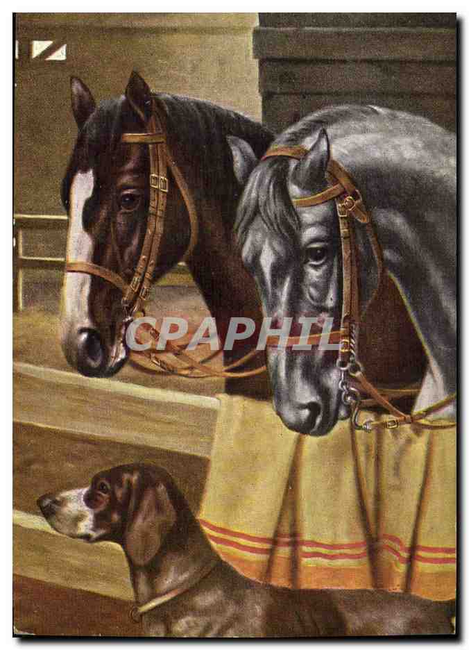 Deux chevaux et un chien — T.S.N. Série 1993 (6 Dess.)
