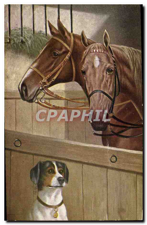 Deux chevaux et un chien dans une écurie — éditeur T.S.N. Série 1933