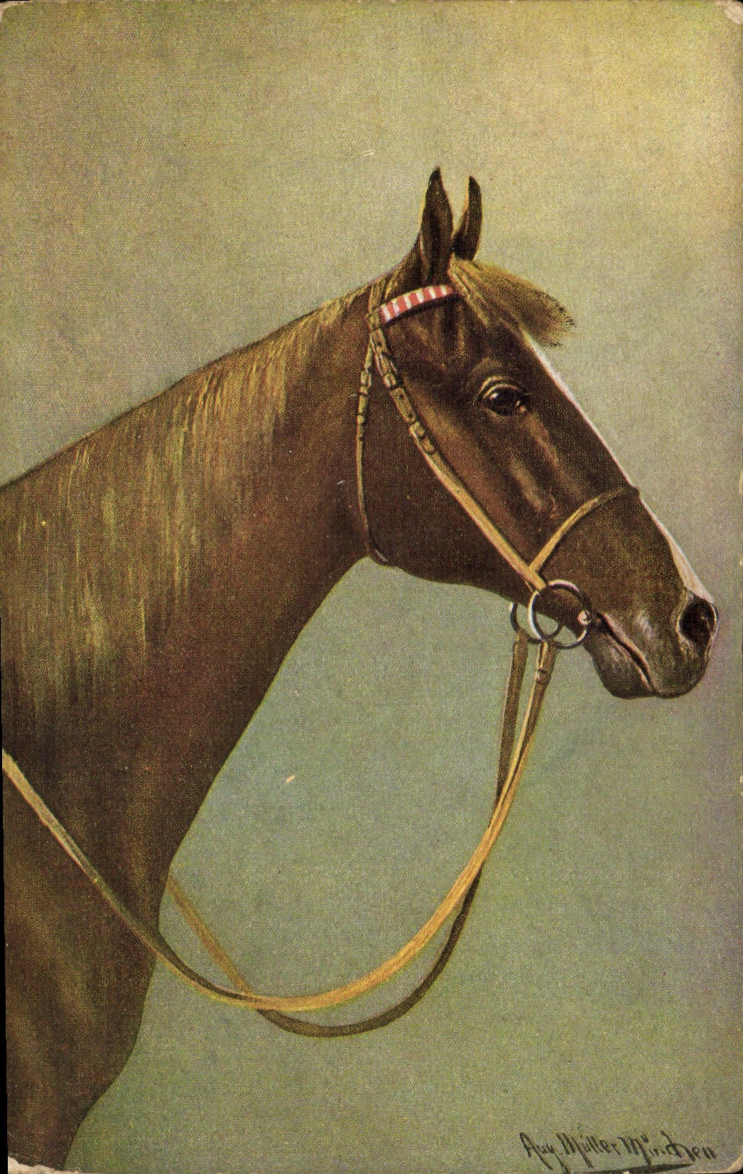 Portrait d'un cheval — peinture — Aug Müller Minding