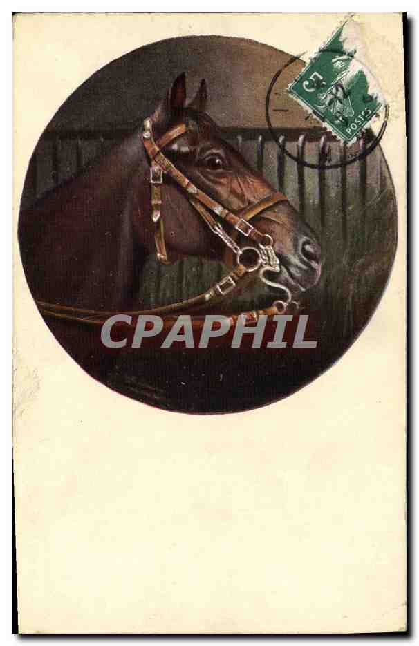 CPA Cheval Equitation Hippisme