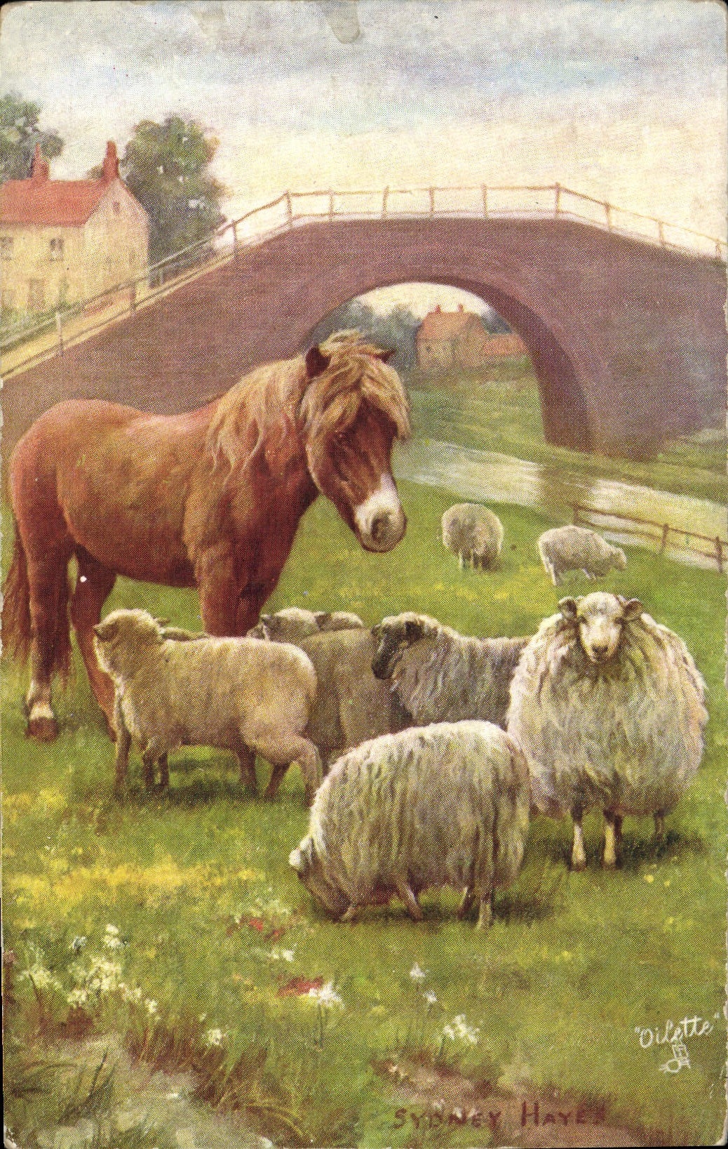 Paysage rural avec âne et moutons — Sydney Hayes — Tuck's Post Card