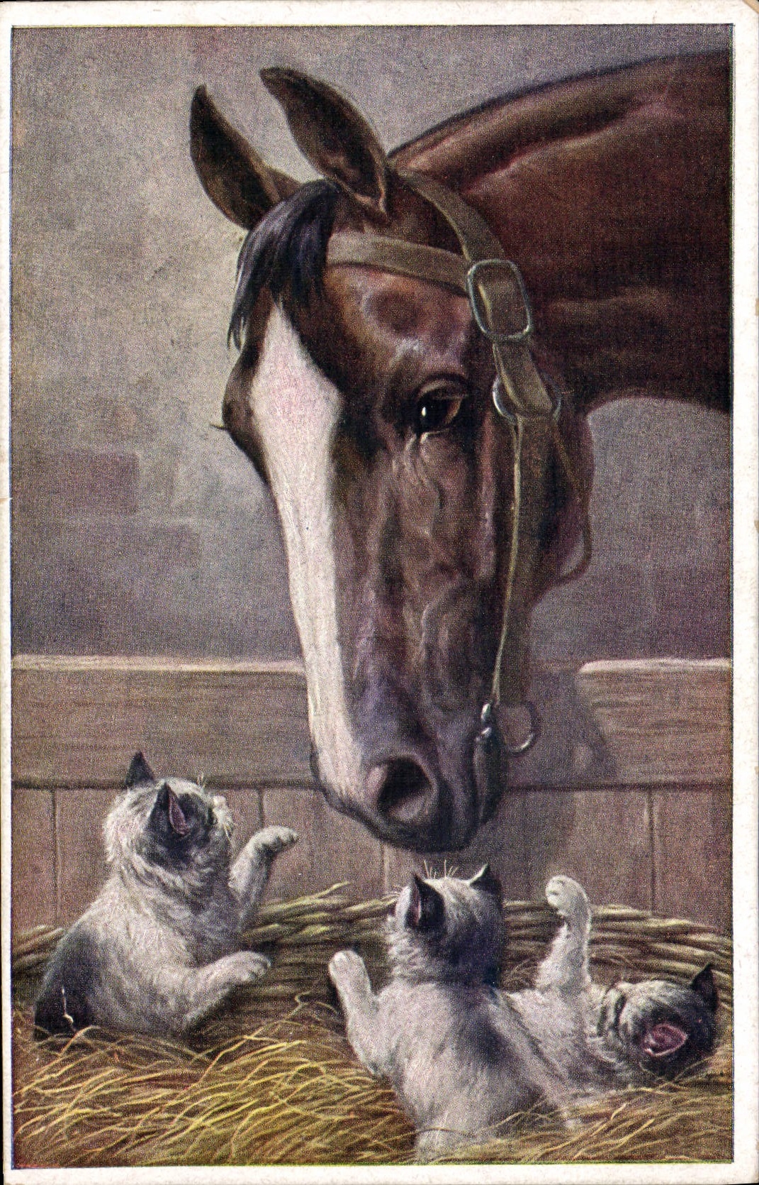 Cheval et chatons — scène de ferme — M. Munk, Wien, n° 1189