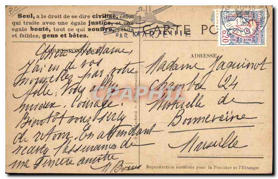 CPA Cheval Equitation Hippisme Un travailleur conscient — Verso