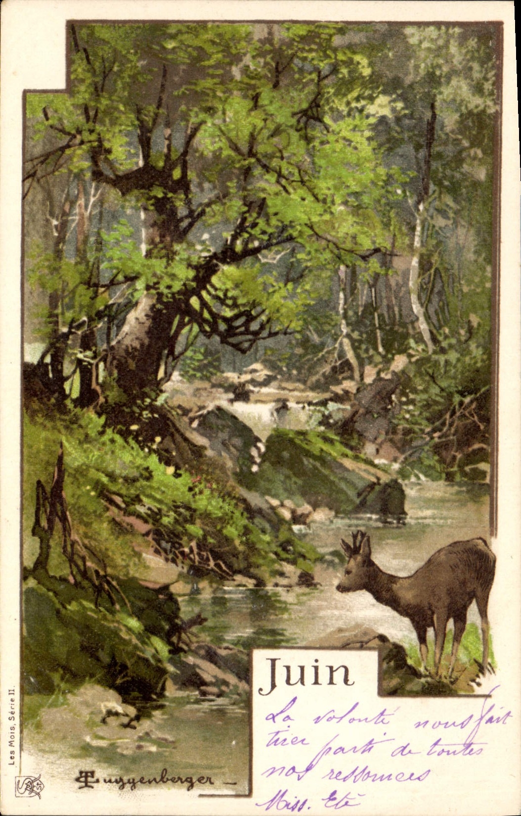 Forêt de juin — Éditeur E. Eusygenberger, Série II