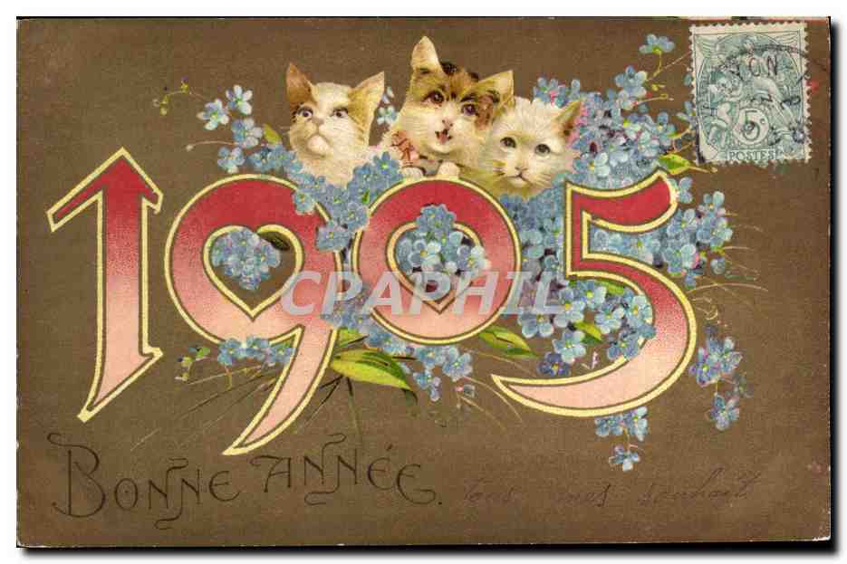 Trois chats — 1905 — éditeur non visible