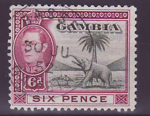 Gambie Gambia Cancelled Basse 6 d value Elephant