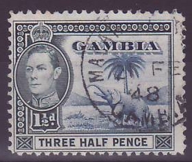 Gambie Gambia Cancelled Macarthy Island 1 1/2d Elephant