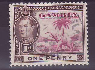 Gambie Gambia Cancelled Macarthy Island 1d Elephant