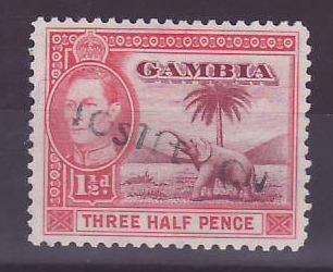 Gambie Gambia Cancelled Steamer 1 1/2 p Elephant Posted on steamer