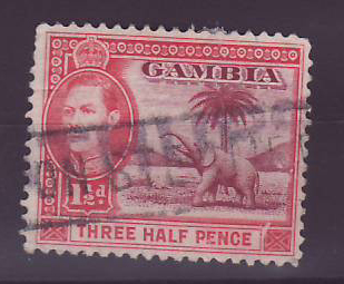 Gambie Gambia 1 1/2d Elephant Paquebot Cancel