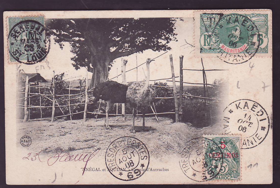 Carte Postale Mauritanie Bellay 5c avec tampon T pour Timbre Taxe  Timbre FM Semeuse et Timbre Blanc a 5cts cad Kaedi 14