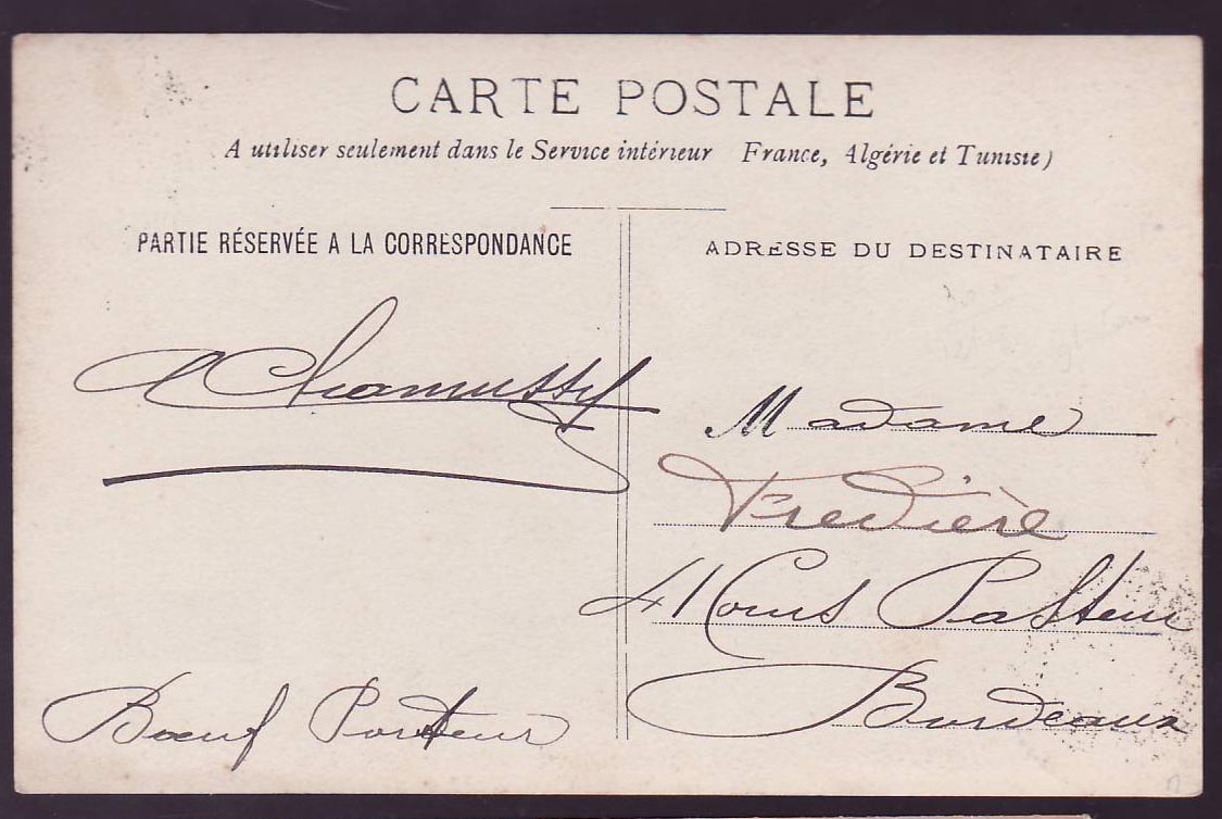 Carte Postale Senegambie & Niger avec photo Bœuf cad rare Medine 8 JAN 97 — Verso