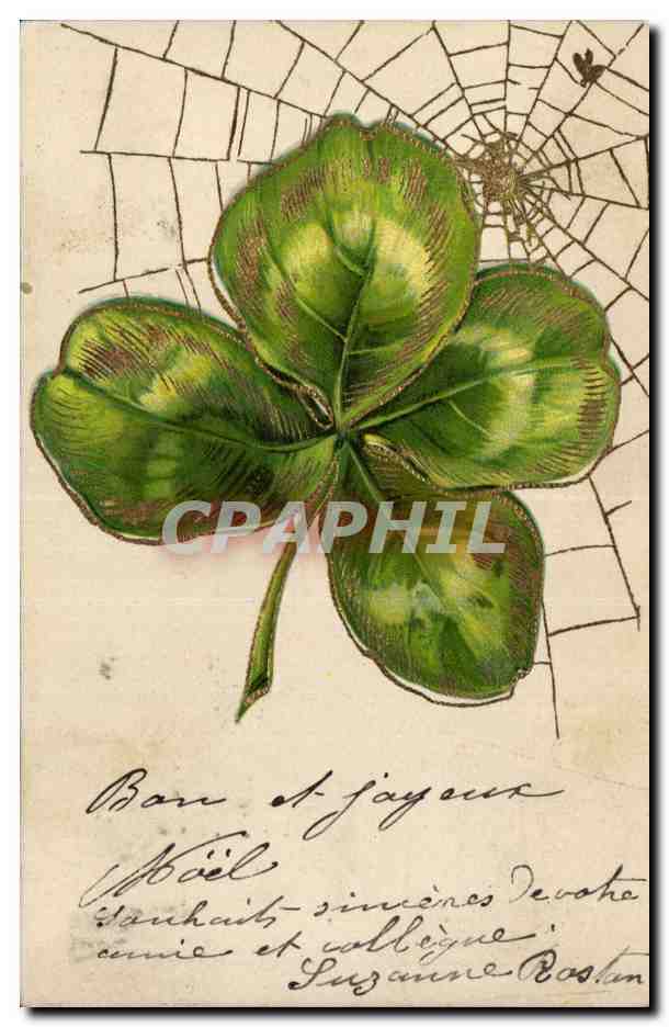 CPA Fantaisie Fleurs Trefle Toile d'araignee 