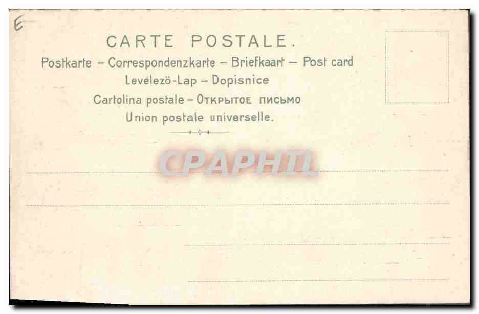 Fleurs et baies de houx — illustration botanique — CPAPHIL — Verso