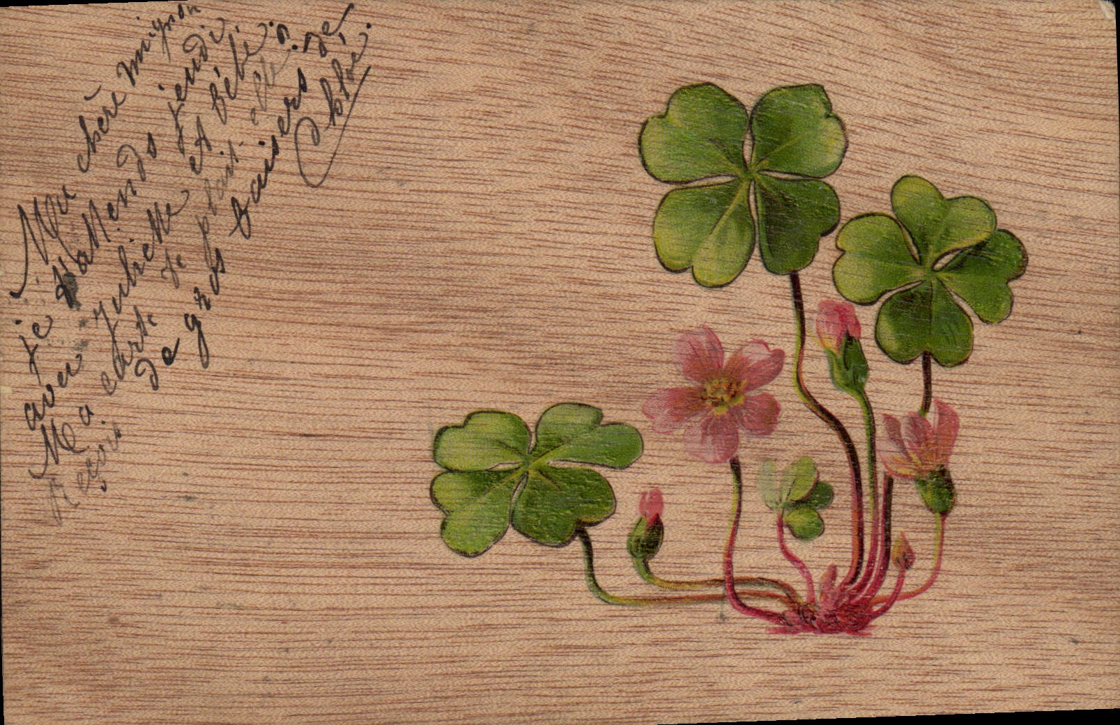 Fleurs de trèfle et de géranium — éditeur inconnu, n° de série non visible