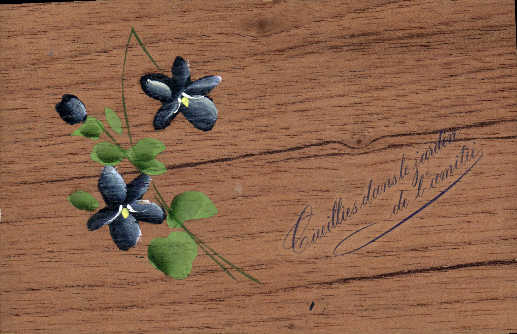 Violettes — peintes à la main — éditeur inconnu