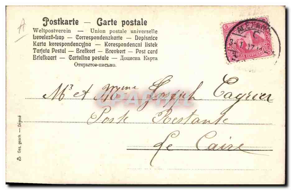 Fruits — Grapes et pêche — Carte postale multilingue — Verso