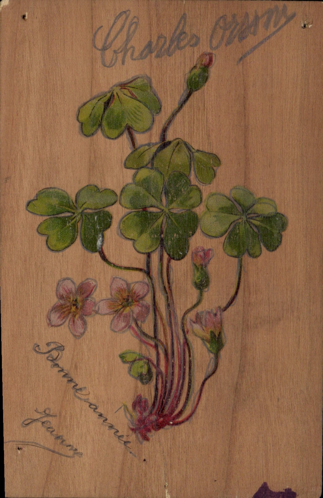 Fleur de trèfle — dessin sur bois — Charles Orson